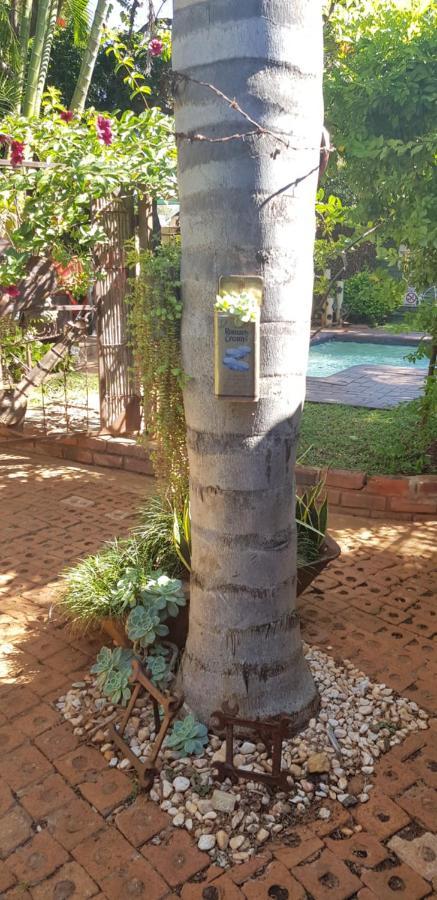 Africas Eden Guesthouse Mookgophong エクステリア 写真
