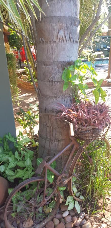 Africas Eden Guesthouse Mookgophong エクステリア 写真